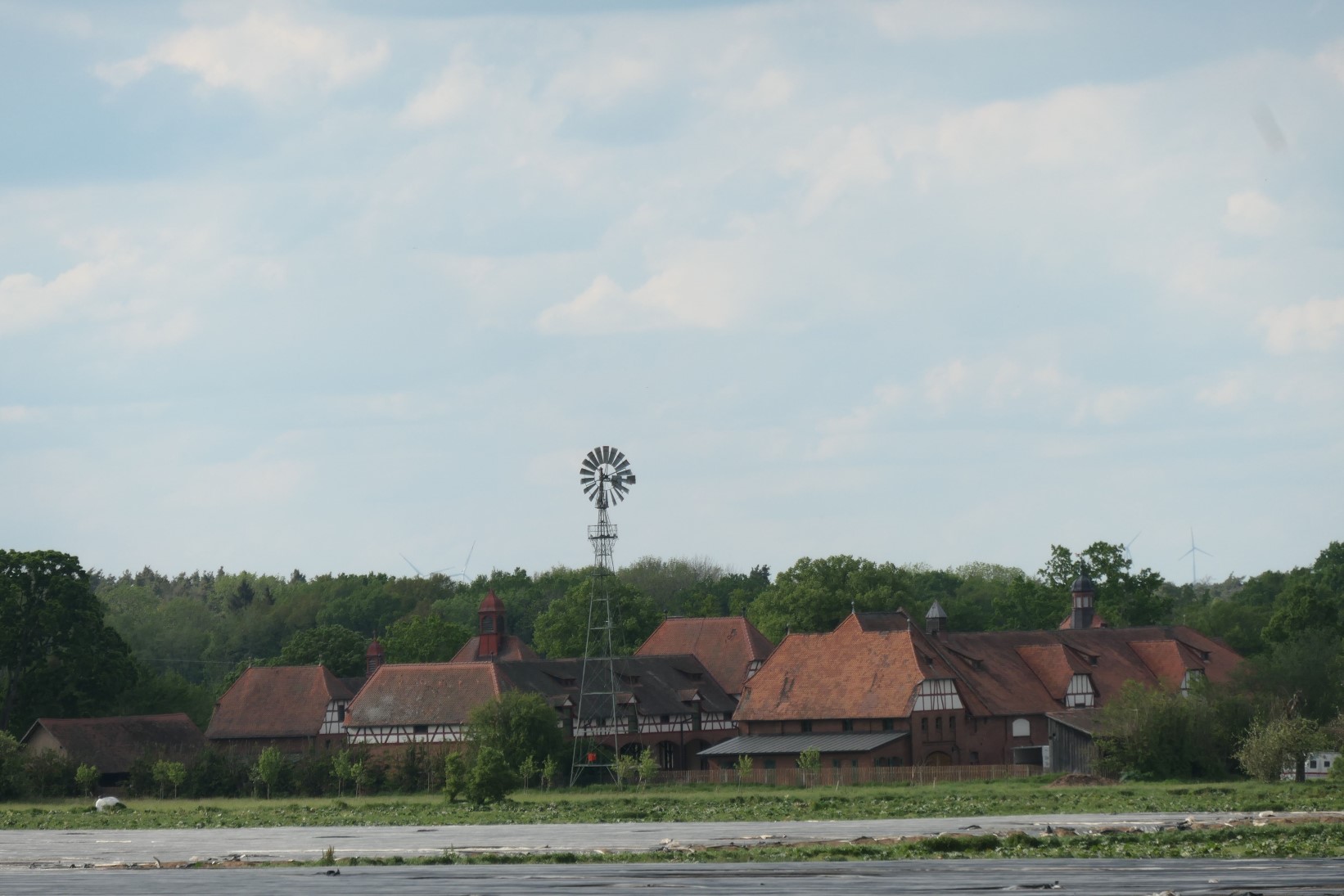 P1001035.jpg