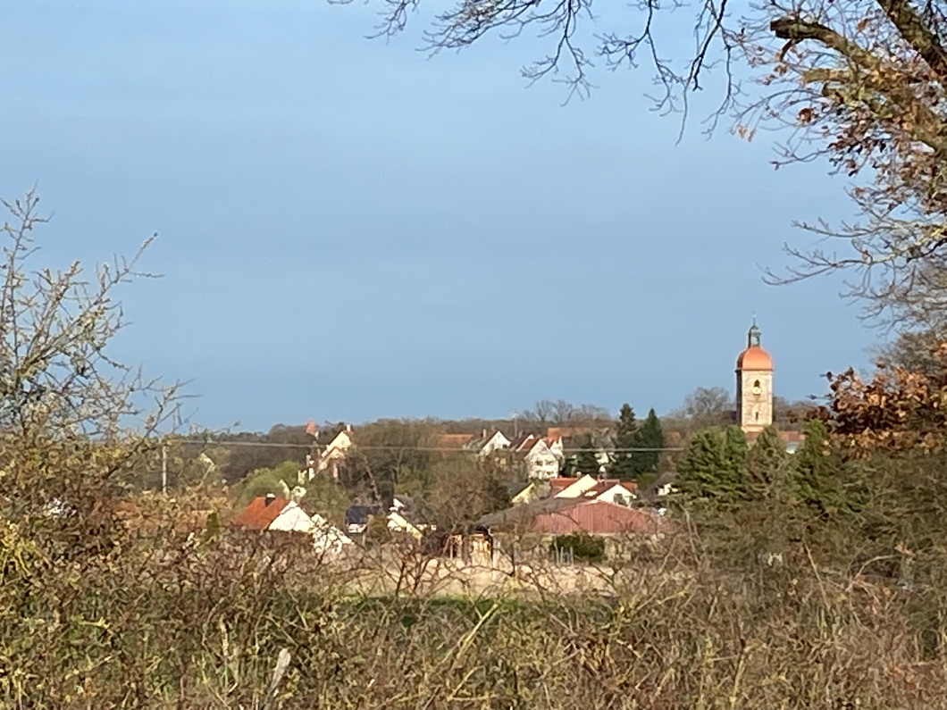 IMG_1578.jpg